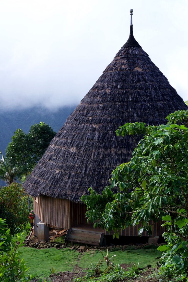 house, traditional, tribe-5203556.jpg